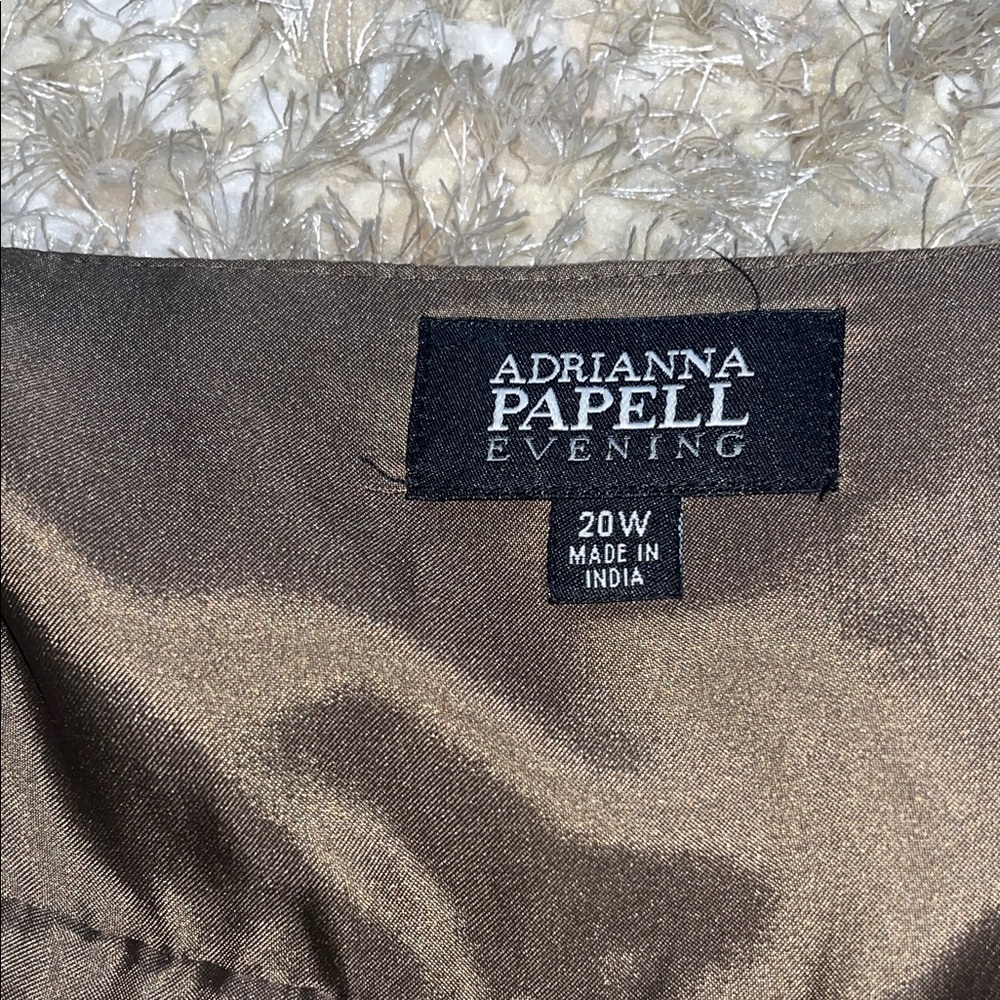 Adrianna Papell Silk Chiffon Beaded Midi Dress, Size 20W - Picture 7 of 12